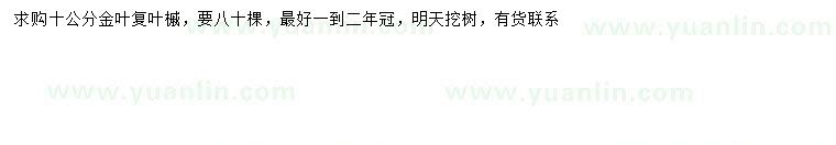 求購10公分金葉復(fù)葉槭