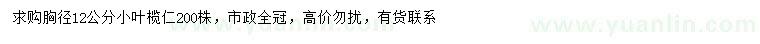 求購胸徑12公分小葉欖仁