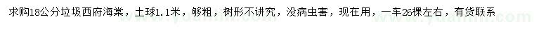 求購18公分西府海棠