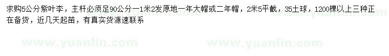 求購(gòu)5公分紫葉李