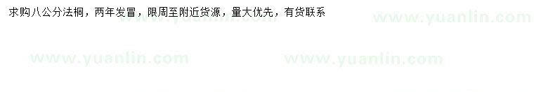 求購8公分法桐