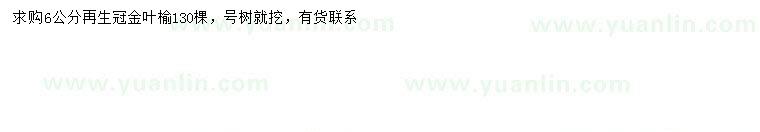 求購6公分金葉榆