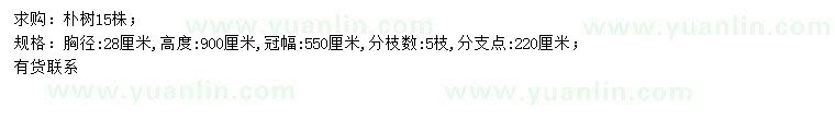 求購胸徑28公分樸樹