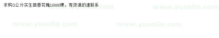 求購(gòu)3公分香花槐