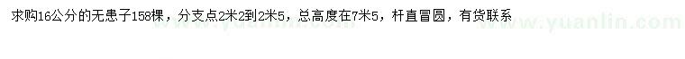 求購(gòu)16公分無患子