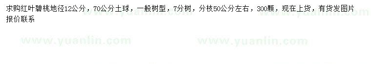 求購(gòu)地徑12公分紅葉碧桃