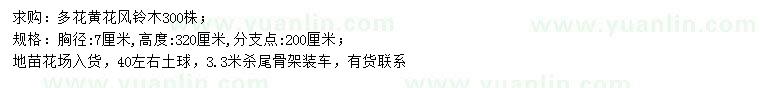 求購胸徑7公分多花黃花風(fēng)鈴木