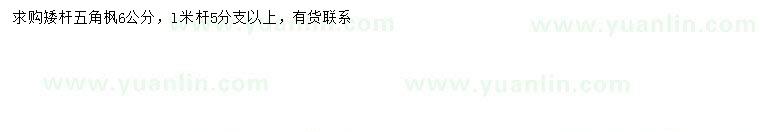 求購(gòu)6公分五角楓