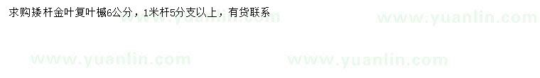 求購(gòu)6公分金葉復(fù)葉槭