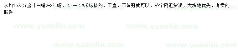 求購10公分金葉白蠟