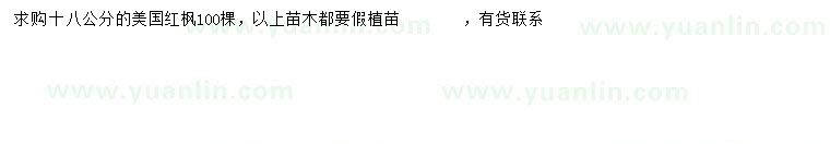 求購18公分美國紅楓