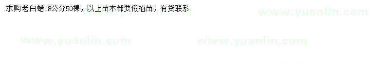 求購18公分老白蠟