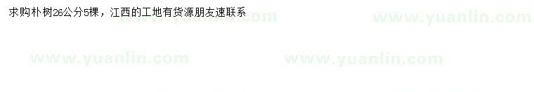 求購(gòu)26公分樸樹(shù)