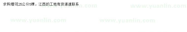 求購25公分櫻花