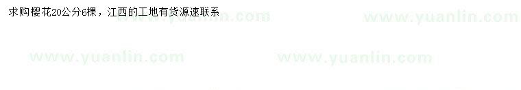 求購20公分櫻花