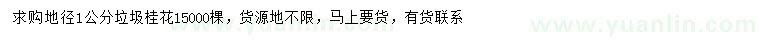 求購地徑1公分桂花
