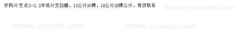 求購13、18公分白蠟