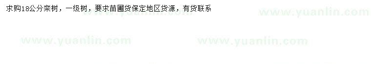 求購(gòu)18公分欒樹(shù)