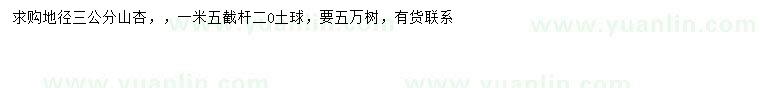 求購地徑3公分山杏