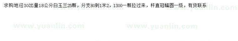 求購30量18公分白玉蘭