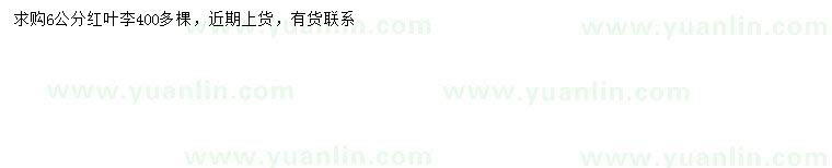 求購(gòu)6公分紅葉李