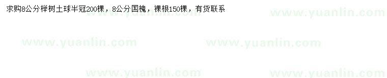 求購(gòu)8公分櫸樹(shù)、國(guó)槐