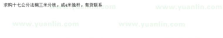 求購(gòu)17公分法桐