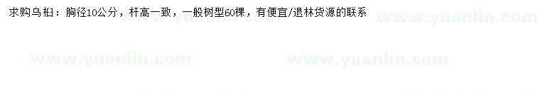 求購(gòu)胸徑10公分烏桕