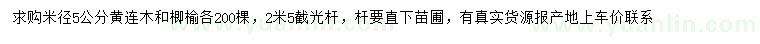 求購米徑5公分黃連木、楖榆