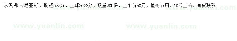 求購胸徑5公分弗吉尼亞櫟