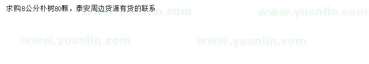 求購8公分樸樹