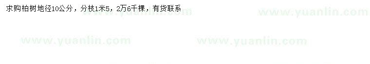 求購地徑10公分柏樹