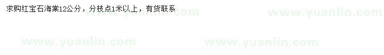 求購(gòu)12公分紅寶石海棠