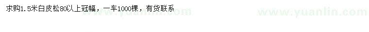 求購1.5米白皮松