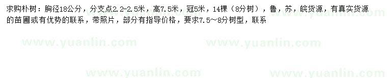 求購(gòu)胸徑18公分樸樹