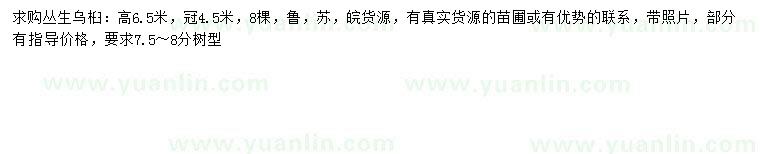 求購冠幅4.5米叢生烏桕