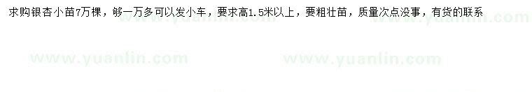 求購高1.5米以上銀杏小苗
