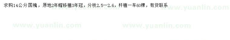 求購(gòu)14公分國(guó)槐