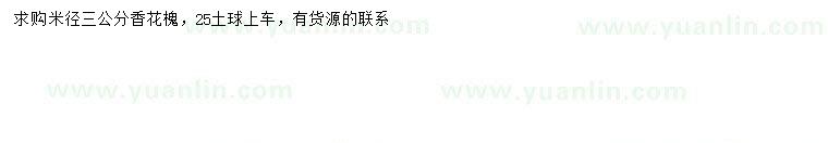 求購米徑3公分香花槐