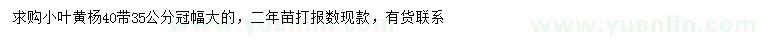 求購(gòu)冠幅35、40公分小葉黃楊