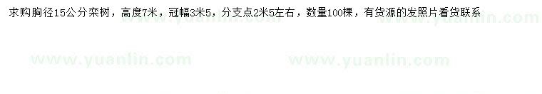 求購胸徑15公分欒樹