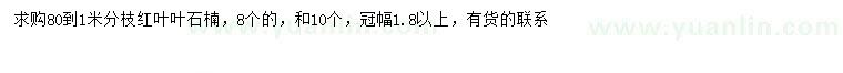 求購0.8-1米紅葉石楠