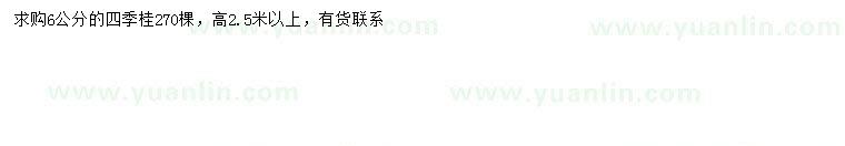 求購6公分四季桂