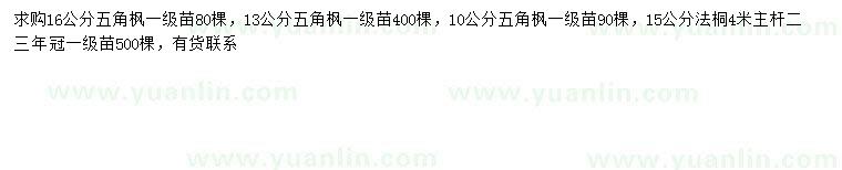 求購(gòu)10、13、16公分五角楓、15公分法桐