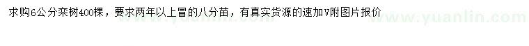 求購6公分欒樹