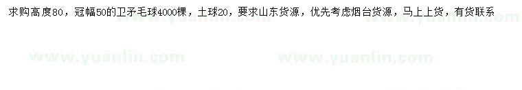 求購冠幅50公分衛(wèi)矛球