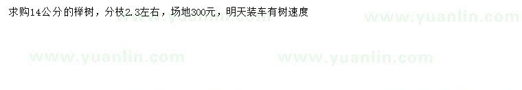 求購(gòu)14公分櫸樹(shù)