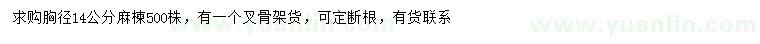 求購胸徑14公分麻楝