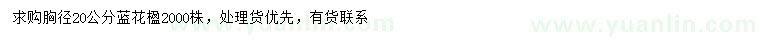 求購(gòu)胸徑20公分藍(lán)花楹