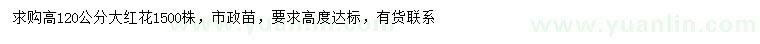 求購高120公分大紅花